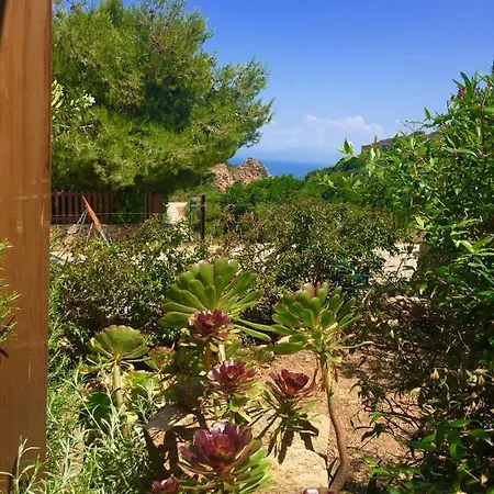 Cicciparadiso Li Valcaggi