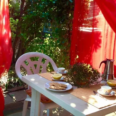 Cicciparadiso Apartment