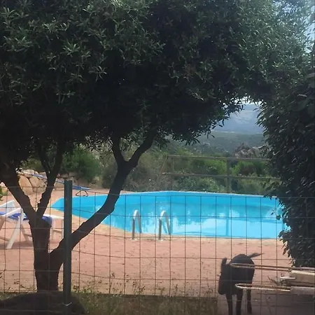 Cicciparadiso *